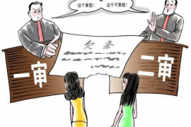 乐东专业催债公司的市场需求和前景分析